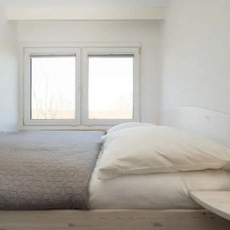 Berolina 302 داهم