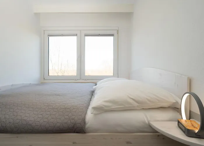 Berolina 302 דאהמה